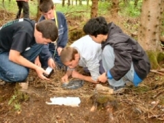 Bushcraft